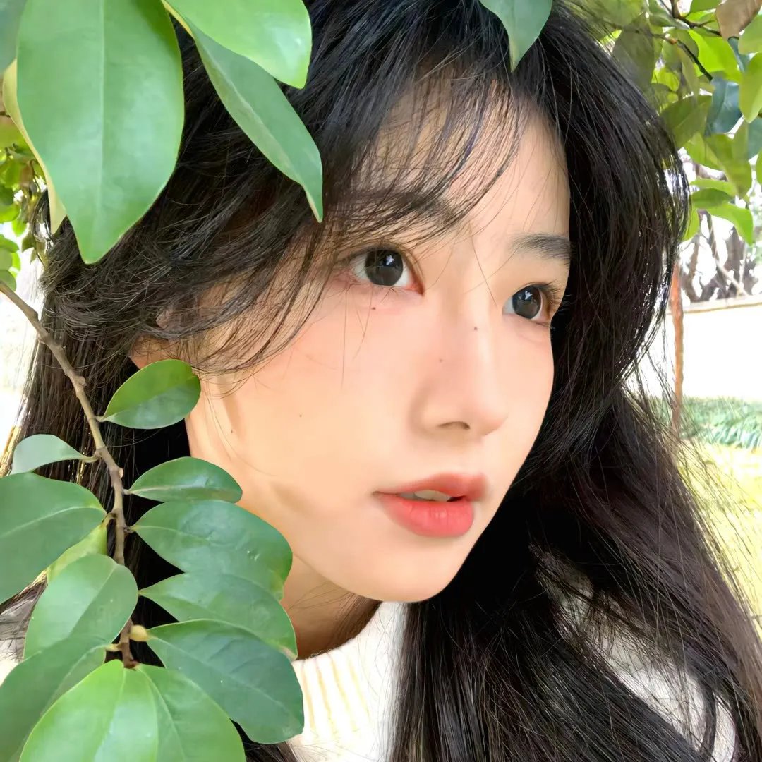 不归的使者